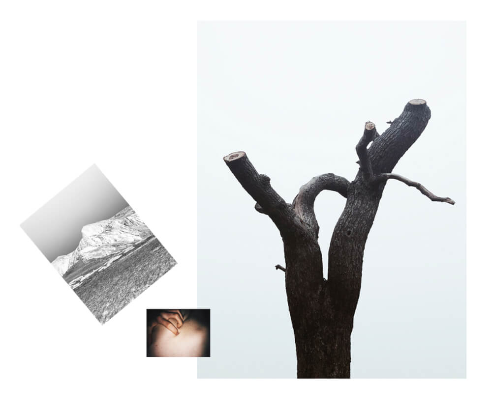 Scroll - Jasper Jones - Phases Magazine