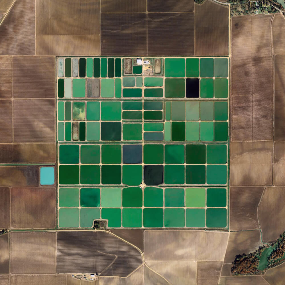 The Jefferson Grid - Shabtai Pinchevsky - Phases Magazine