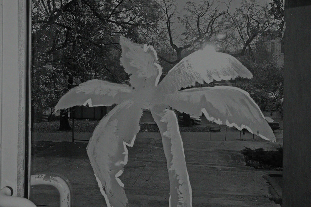 The Leaves of October - Yannis Karpouzis - Phases Magazine