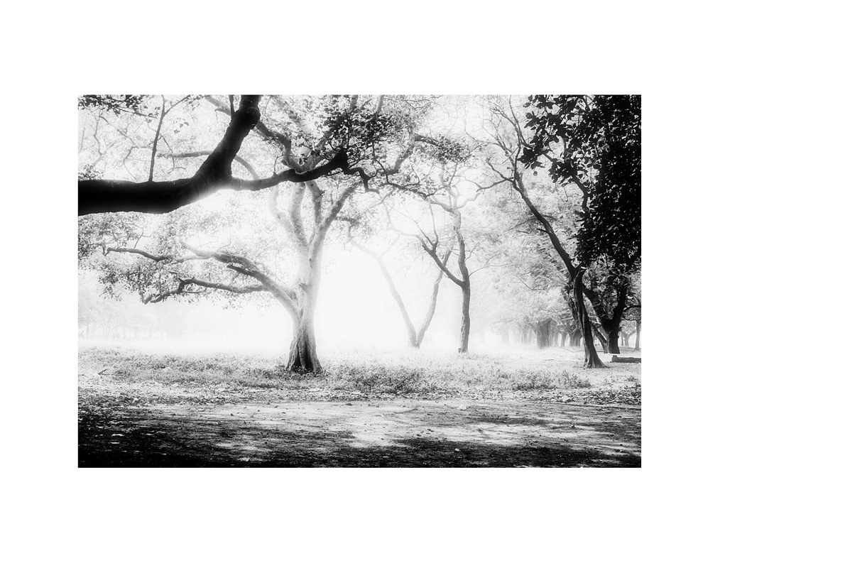 Fragments of the Dying Man - Debmalya Roy Choudhuri - Phases Magazine