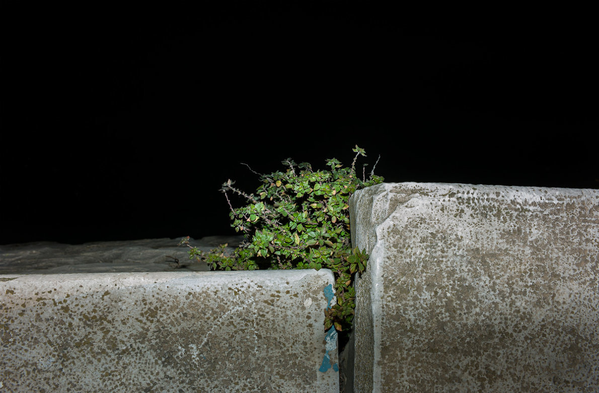 Unwanted - Anna Cherednikova - Phases Magazine