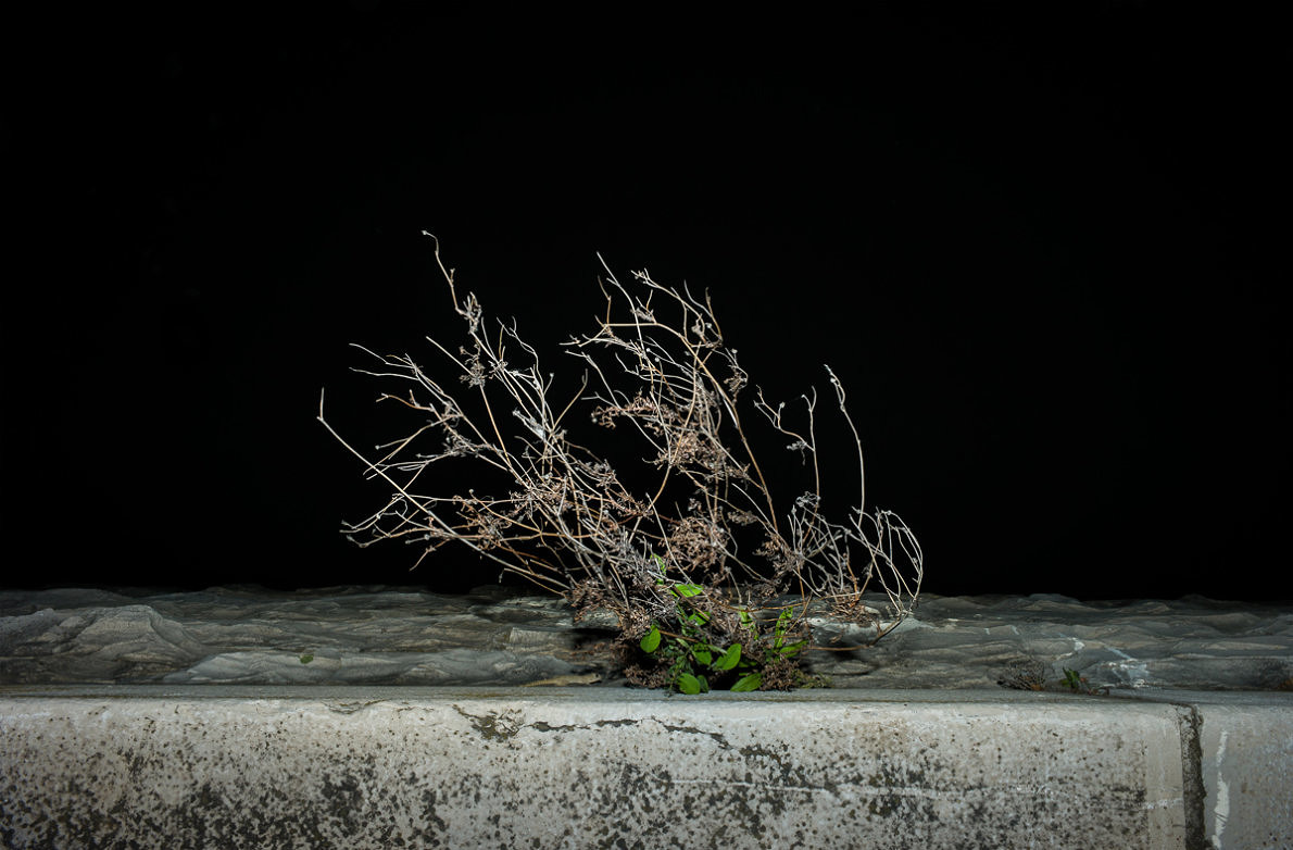Unwanted - Anna Cherednikova - Phases Magazine