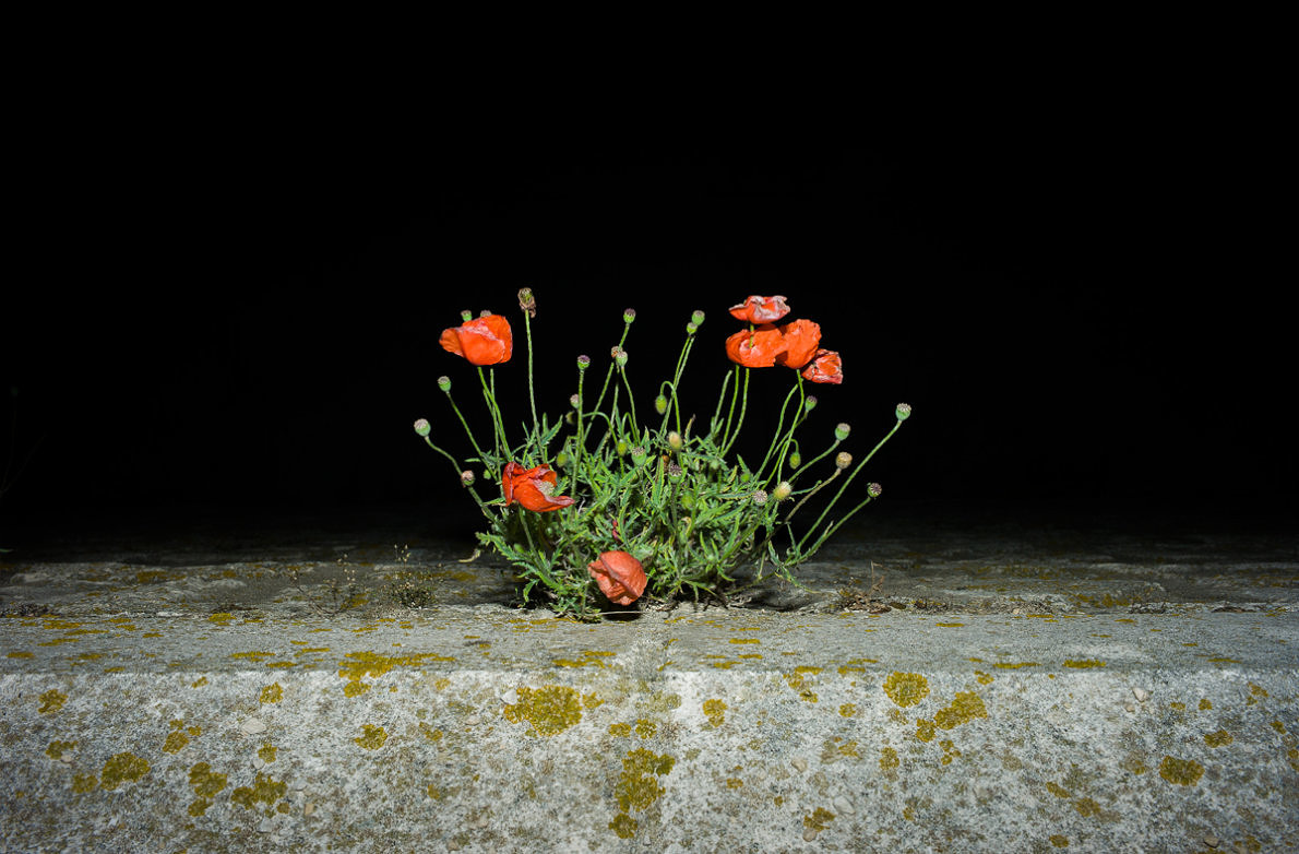 Unwanted - Anna Cherednikova - Phases Magazine