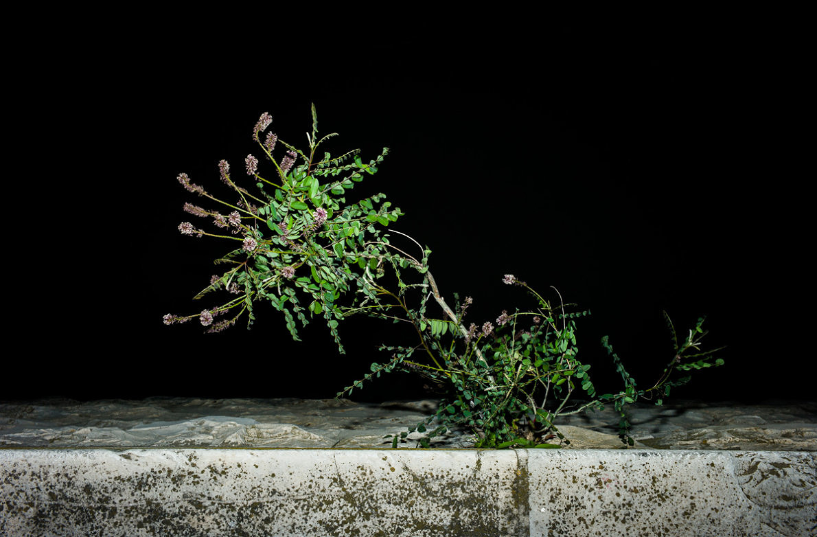 Unwanted - Anna Cherednikova - Phases Magazine