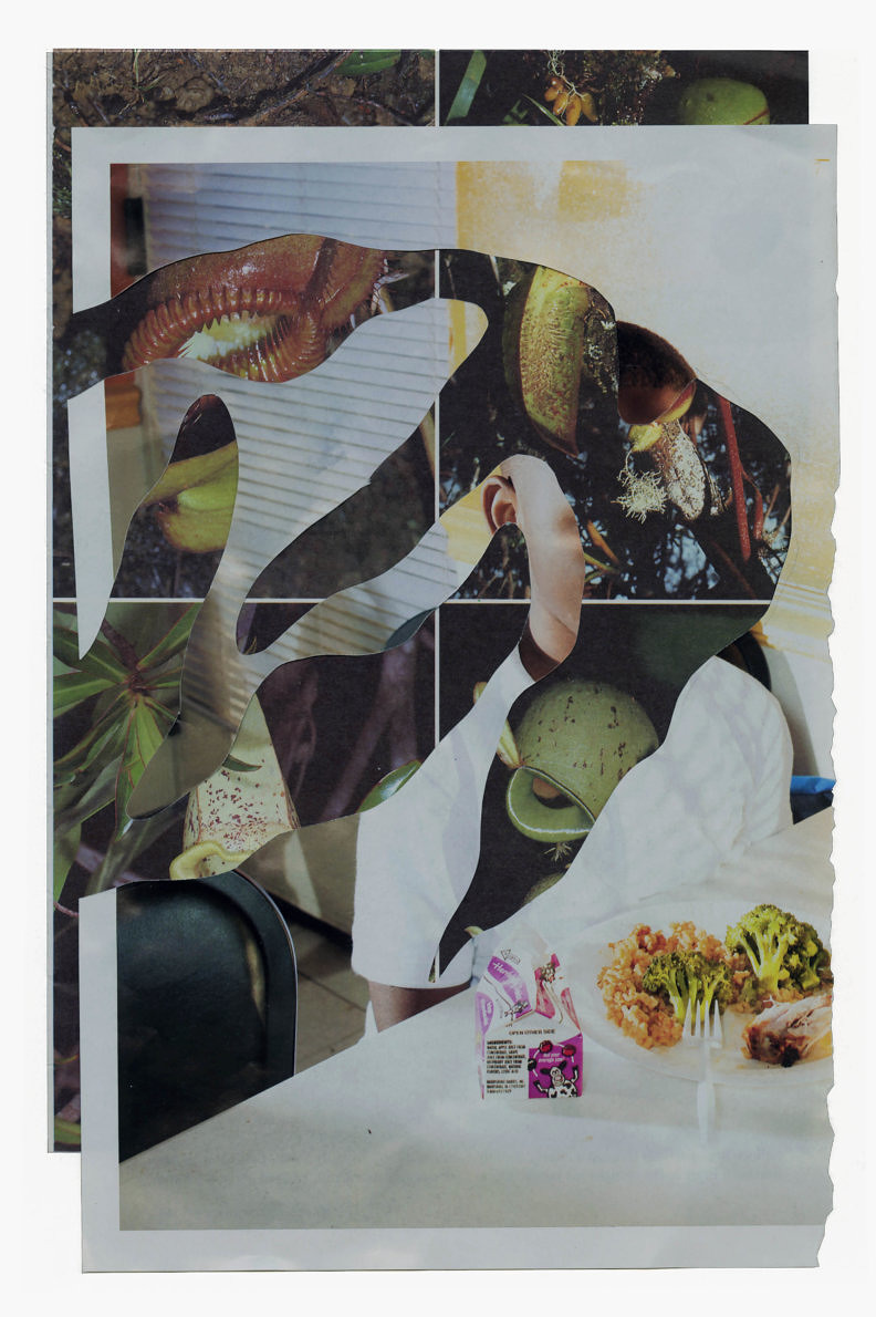 Possible Disasters Vol.1&2 - Ben Branagan - Phases Magazine