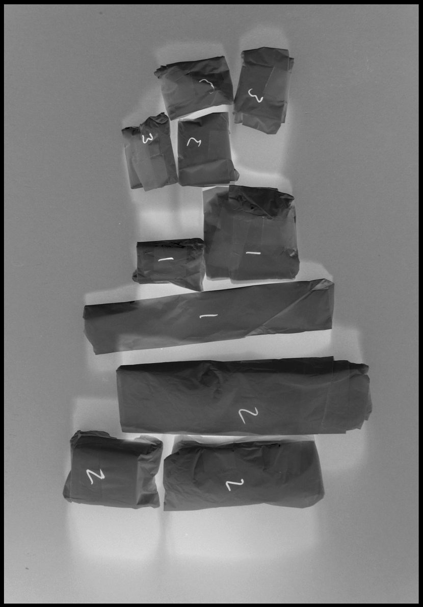 Negatives - Clare Strand - Phases Magazine