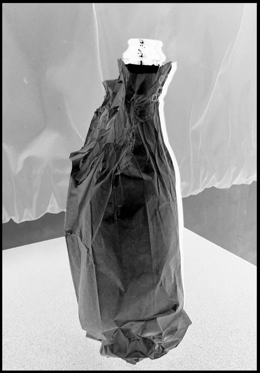 Negatives - Clare Strand - Phases Magazine