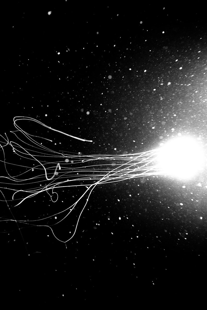 The Origin of Touch - Elena Helfrecht - Phases Magazine