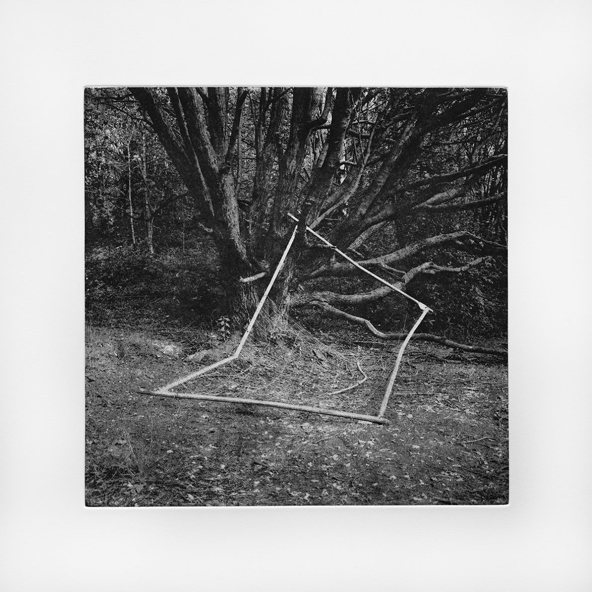 Photo Etching - Dana Ariel - Phases Magazine