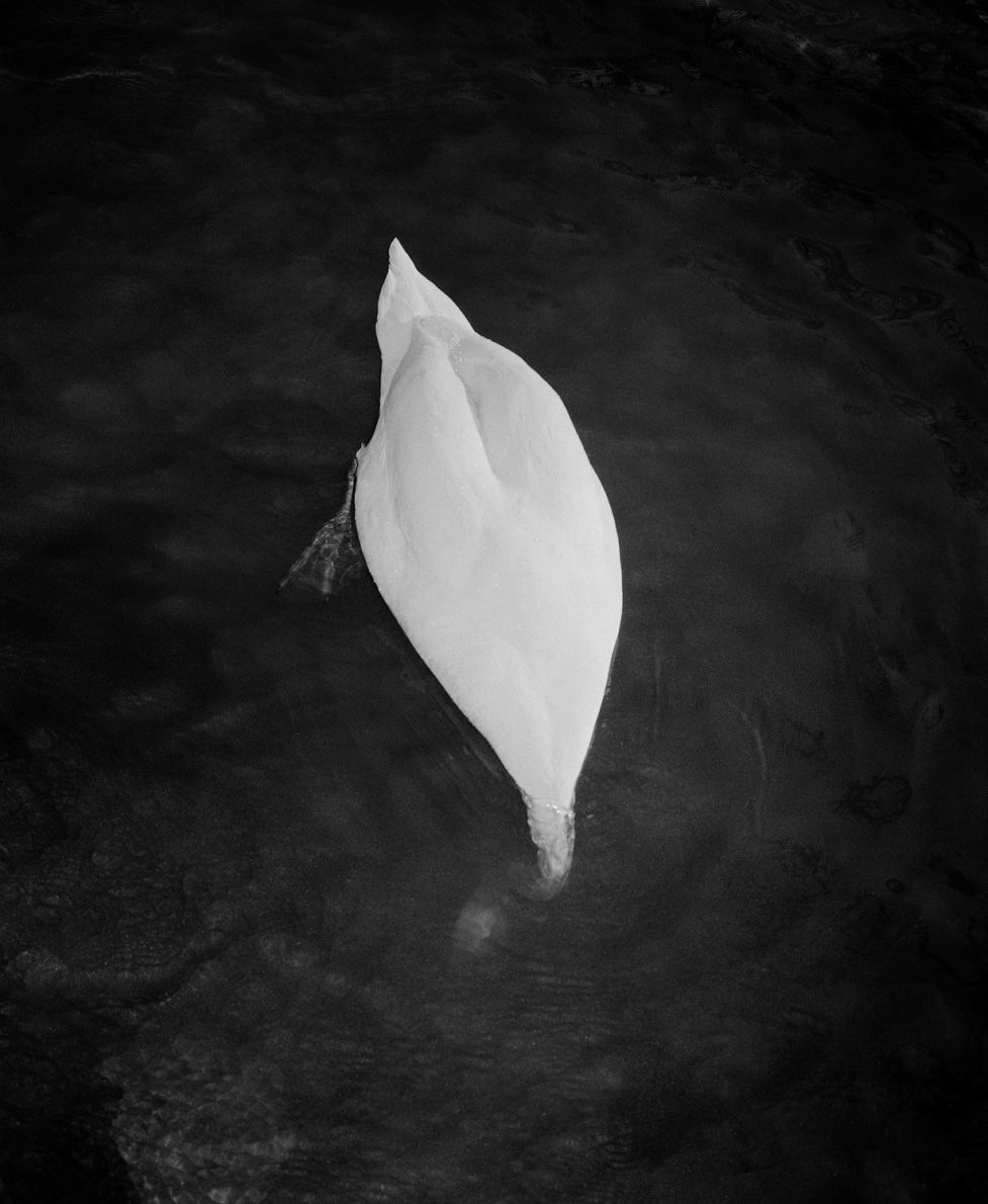 I love you, I’m leaving - Matt Eich - Phases Magazine