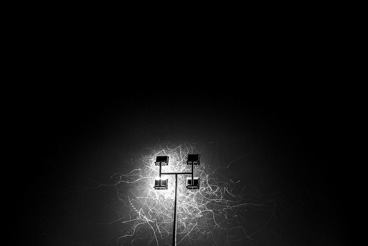 Breathing in 100000 km breathing out - Weronika Jedrzejczak - Phases Magazine