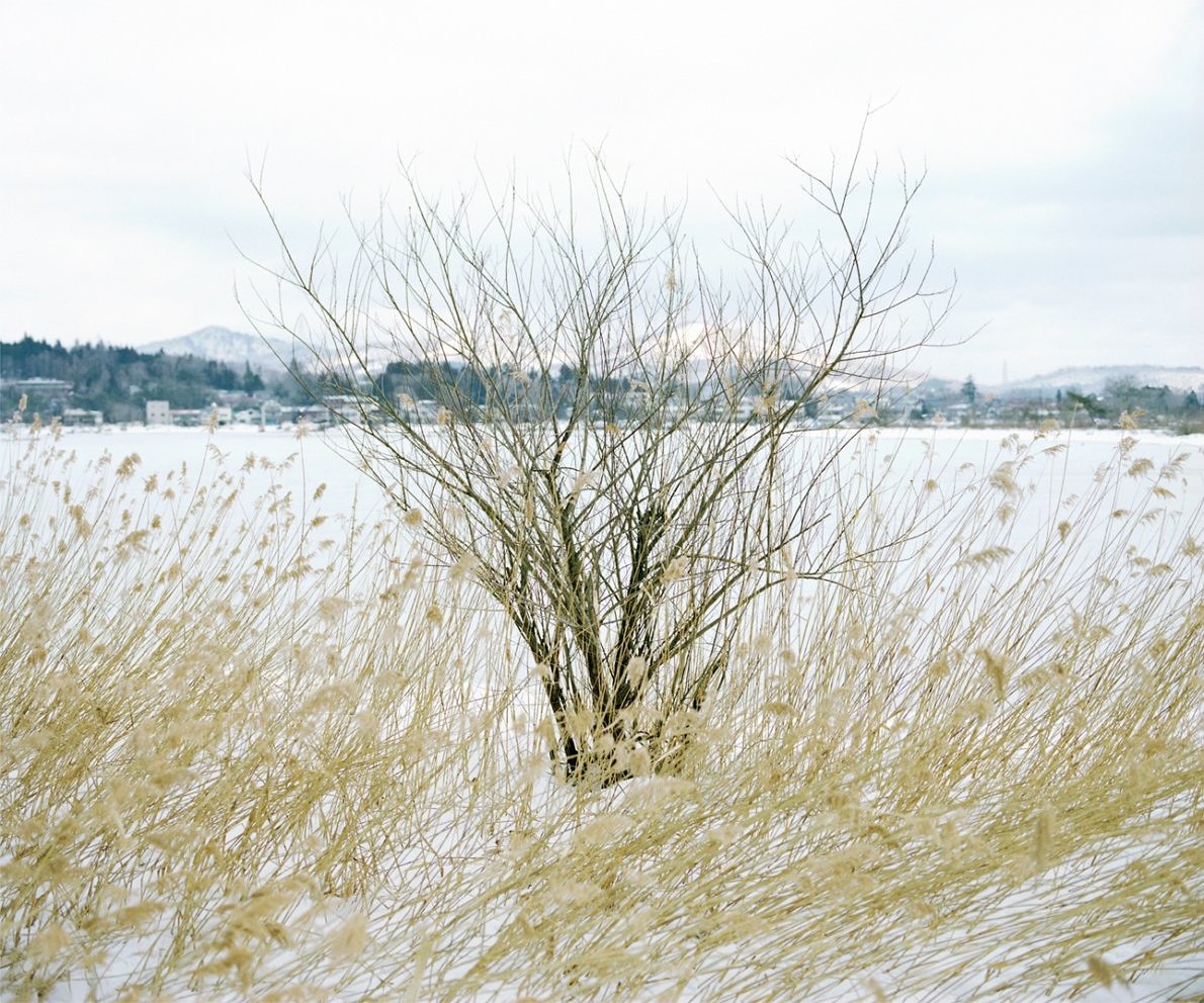 Wintertag - Masato Ninomiya - Phases Magazine