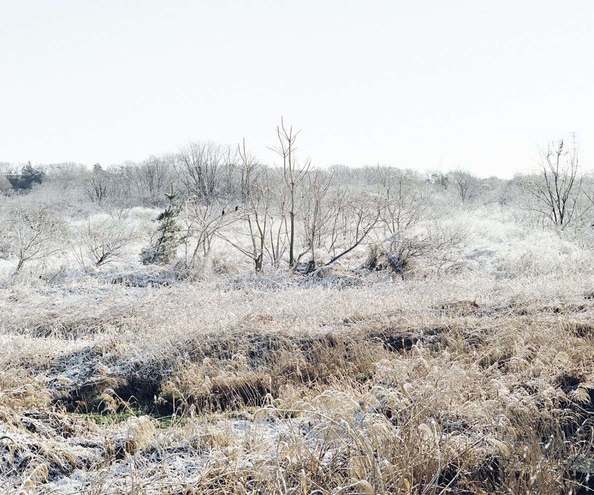 Wintertag - Masato Ninomiya - Phases Magazine