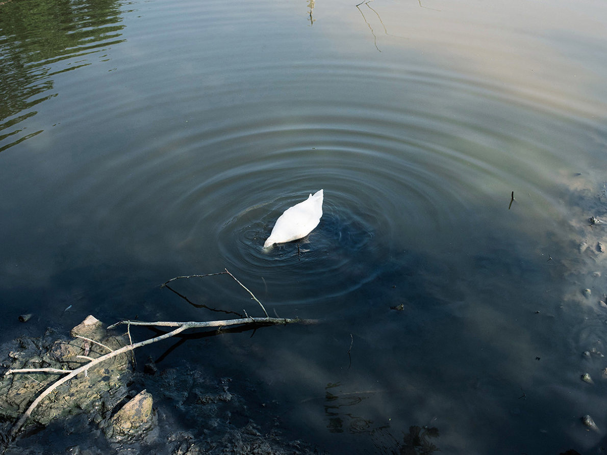 Ebbing away of identity with the tides - Sushavan Nandy - Phases Magazine