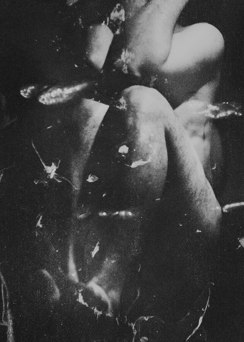 Mayflies - Dimitra Dede - Phases Magazine