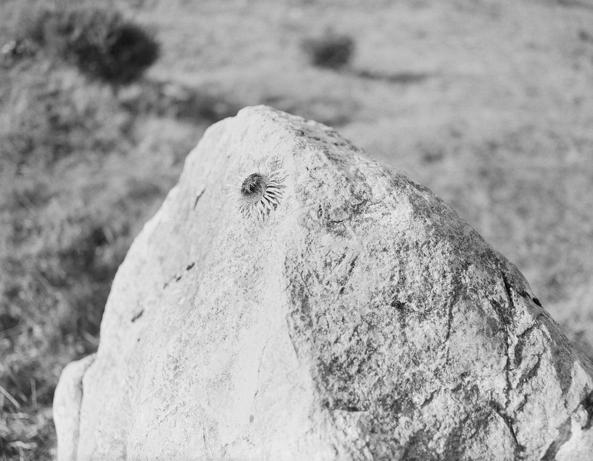 We are the ones turning - Ana Zibelnik - Phases Magazine