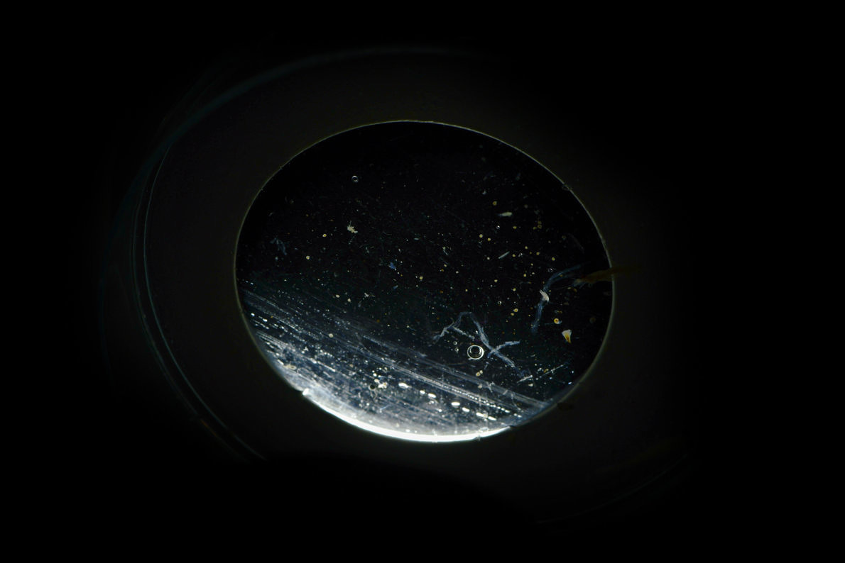 Immersion - Aude Le Barbey - Phases Magazine