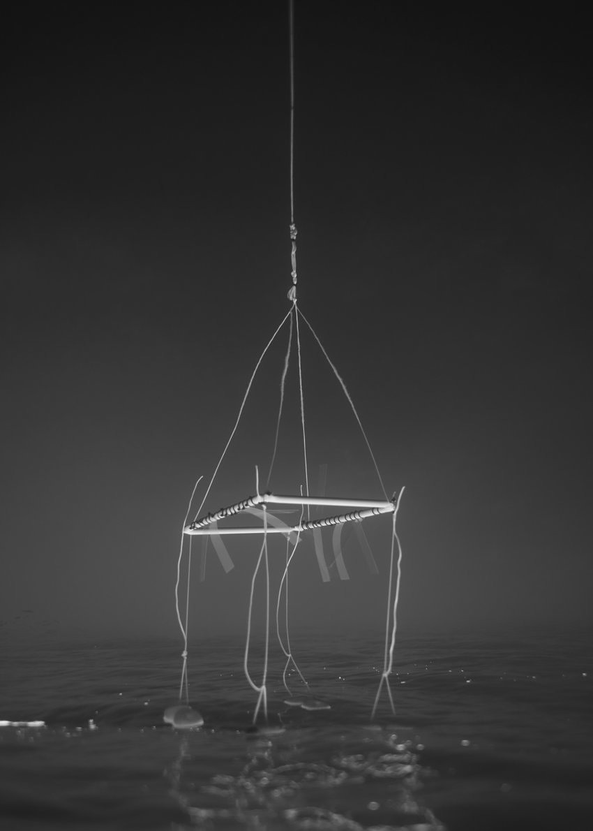 Immersion - Aude Le Barbey - Phases Magazine