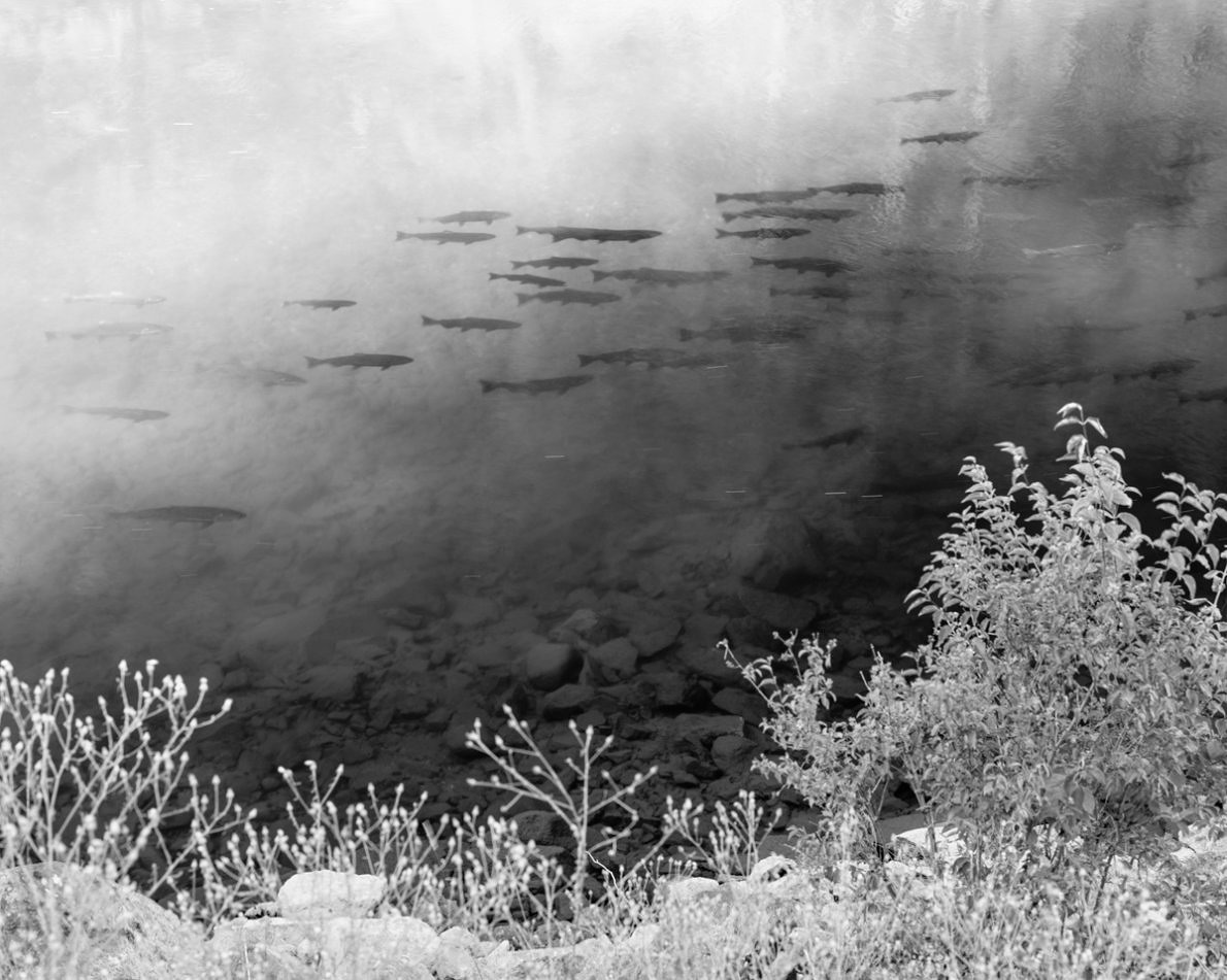 Errors of Possession - Garrett Grove - Phases Magazine