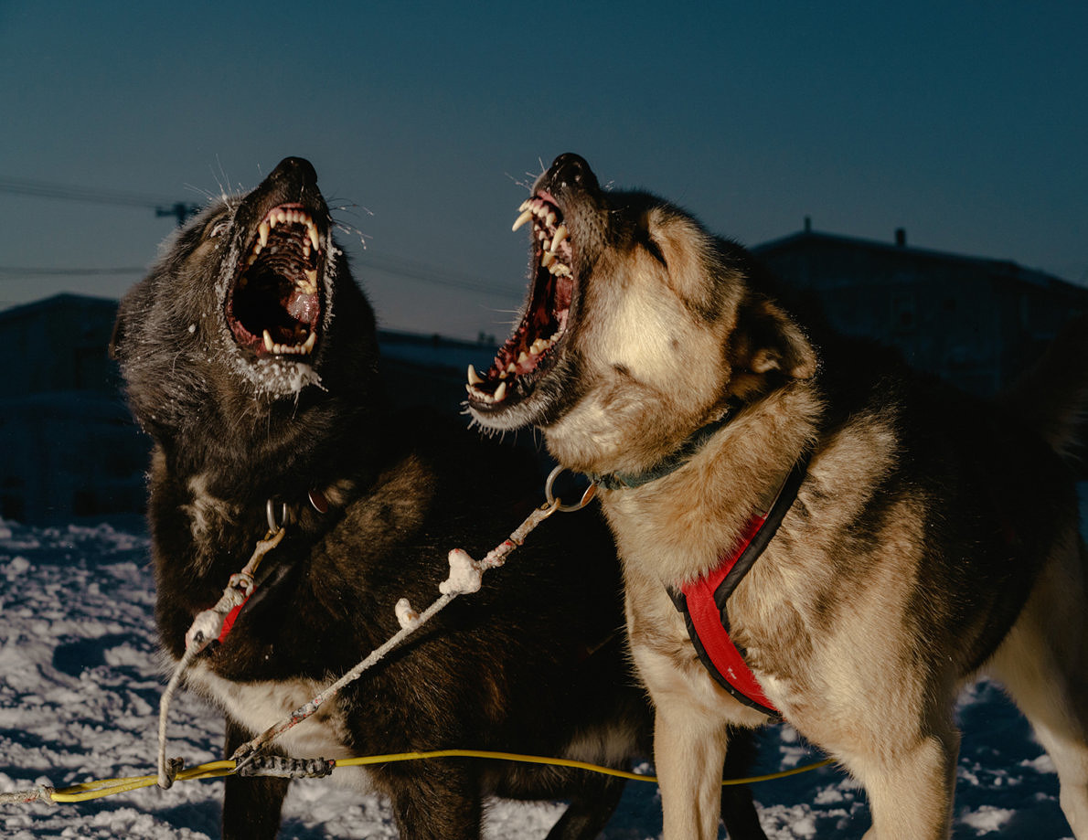 Polar Night - Mark Mahaney - Phases Magazine