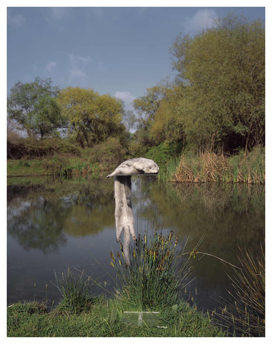 Sunny days/A true story - Kosmas Pavlidis - Phases Magazine