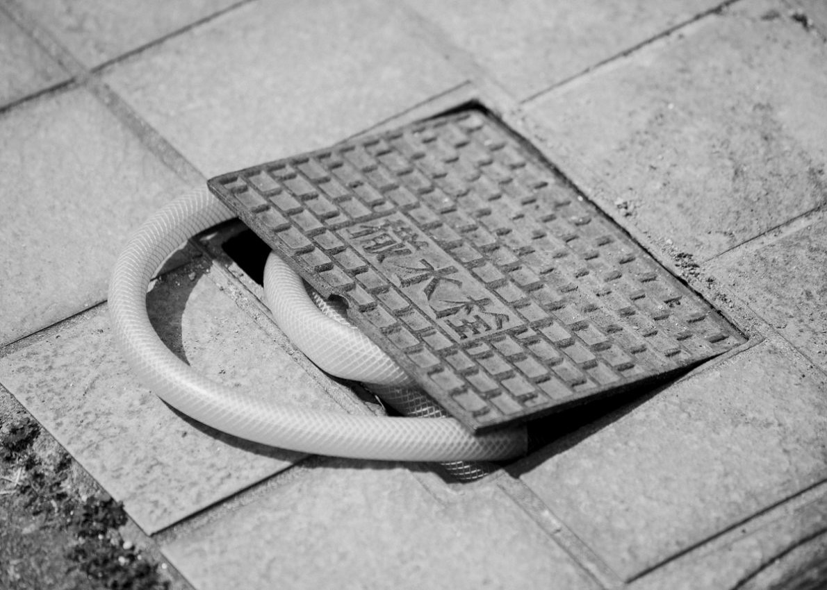 Snake Legs - Max Zerrahn - Phases Magazine