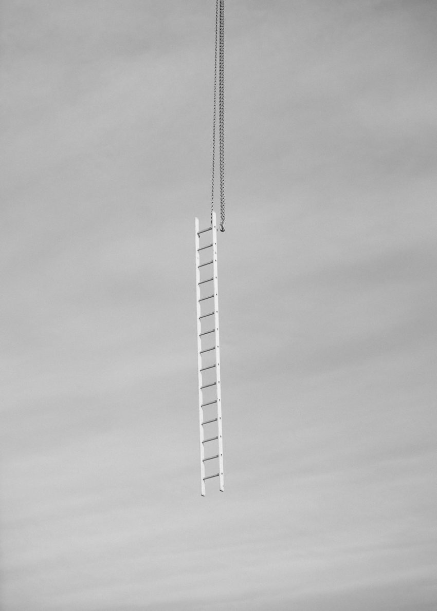 Snake Legs - Max Zerrahn - Phases Magazine