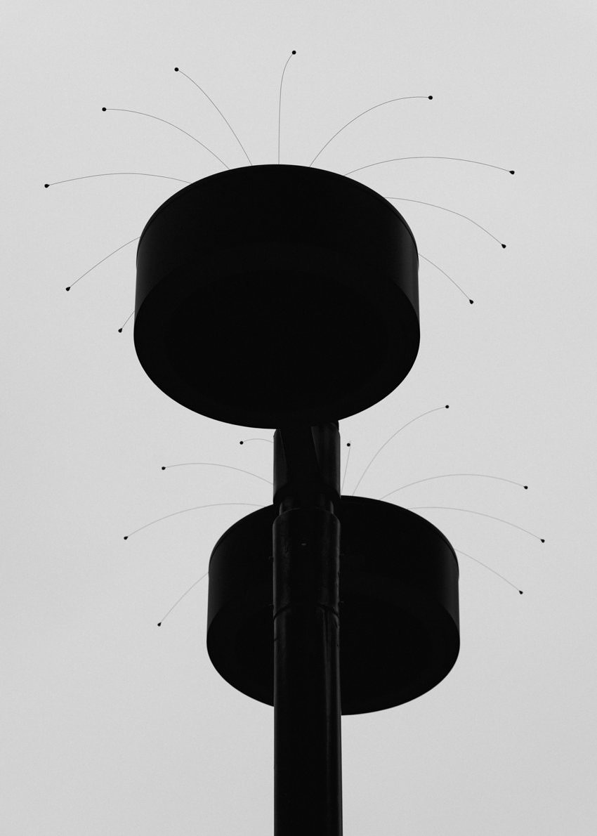 Snake Legs - Max Zerrahn - Phases Magazine