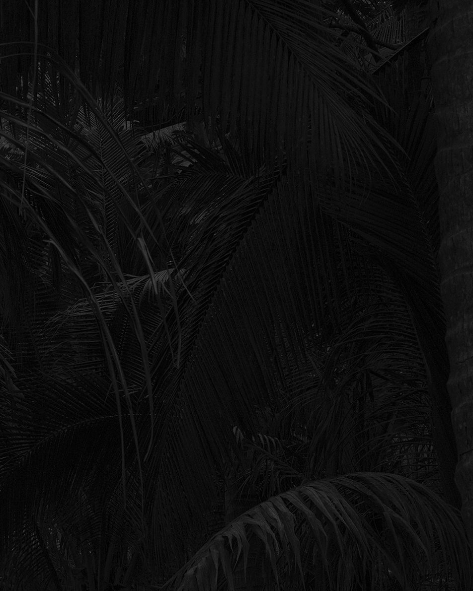 Selected Works - Roosmarijn Pallandt - Phases Magazine