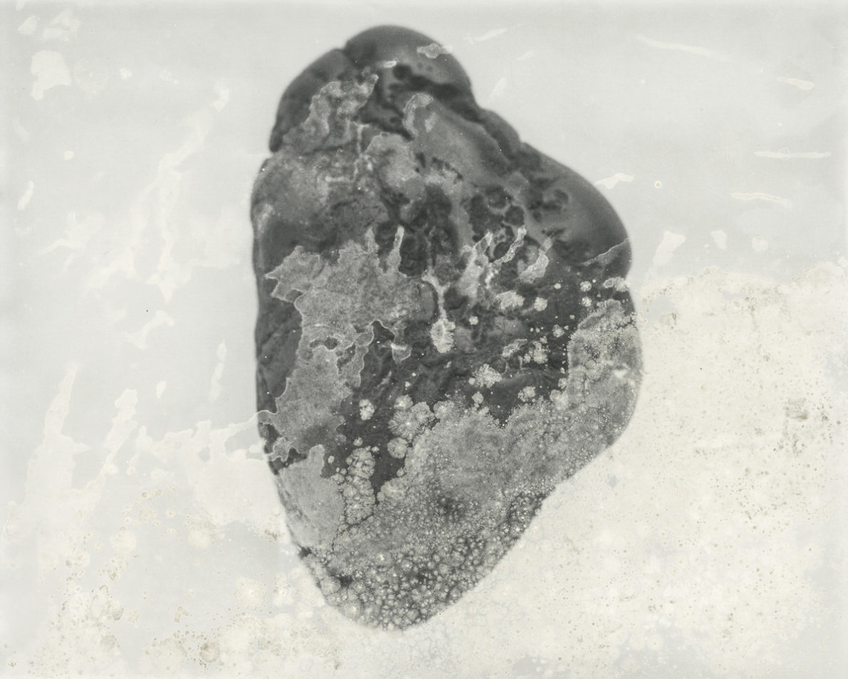 Landscape Pieces - Silvia De Giorgi - Phases Magazine