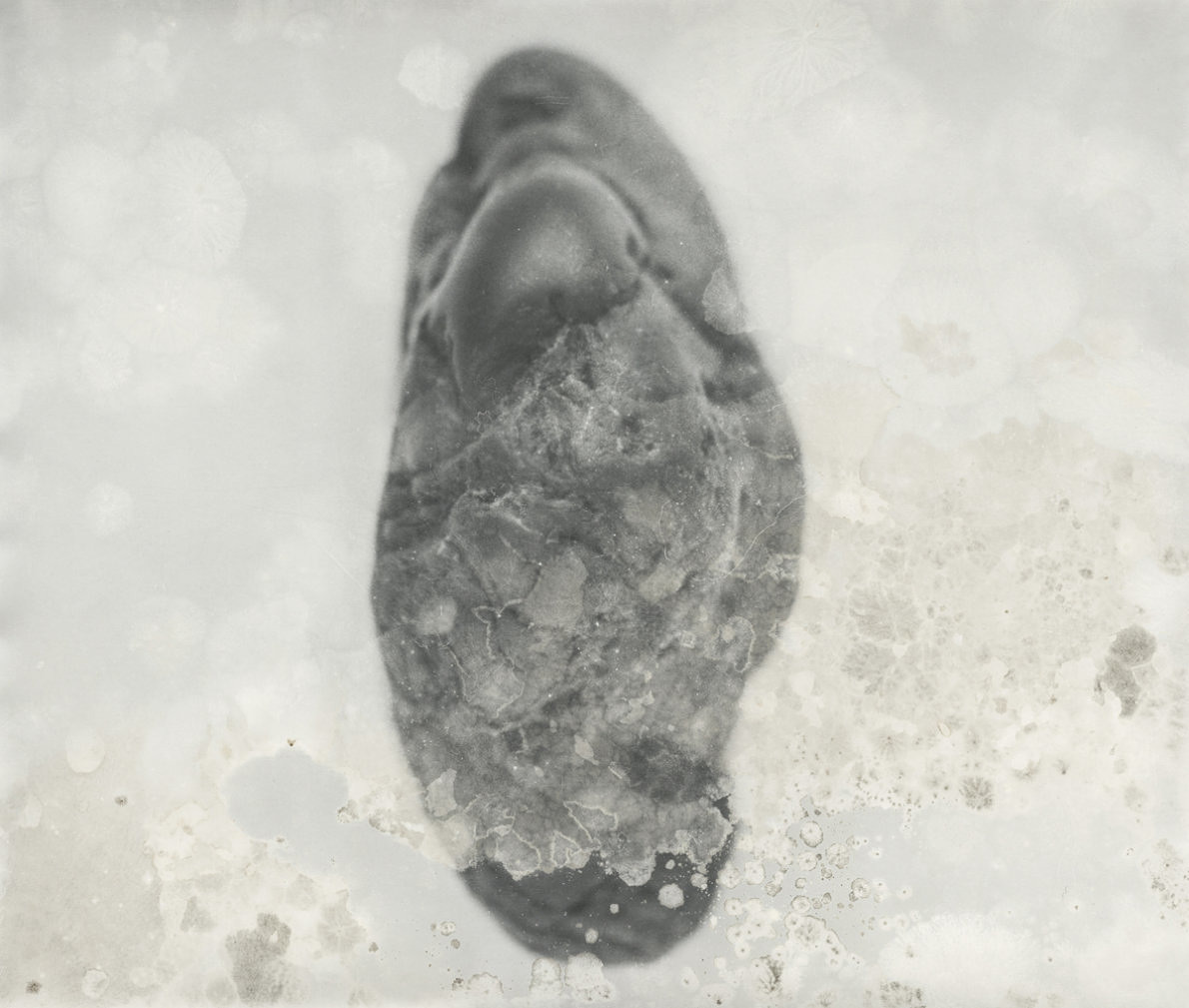 Landscape Pieces - Silvia De Giorgi - Phases Magazine