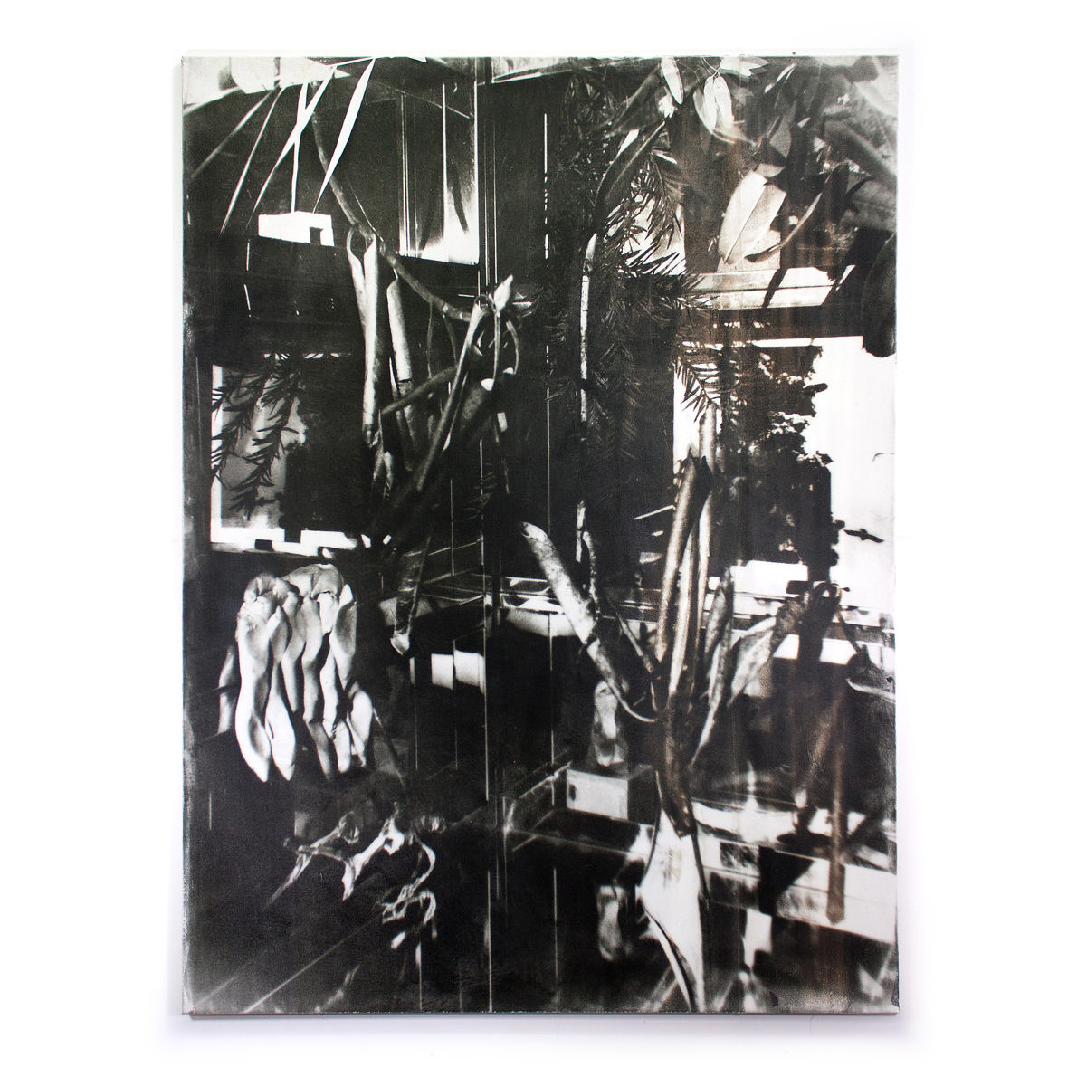 Selected Works - Janosch Jauch - Phases Magazine