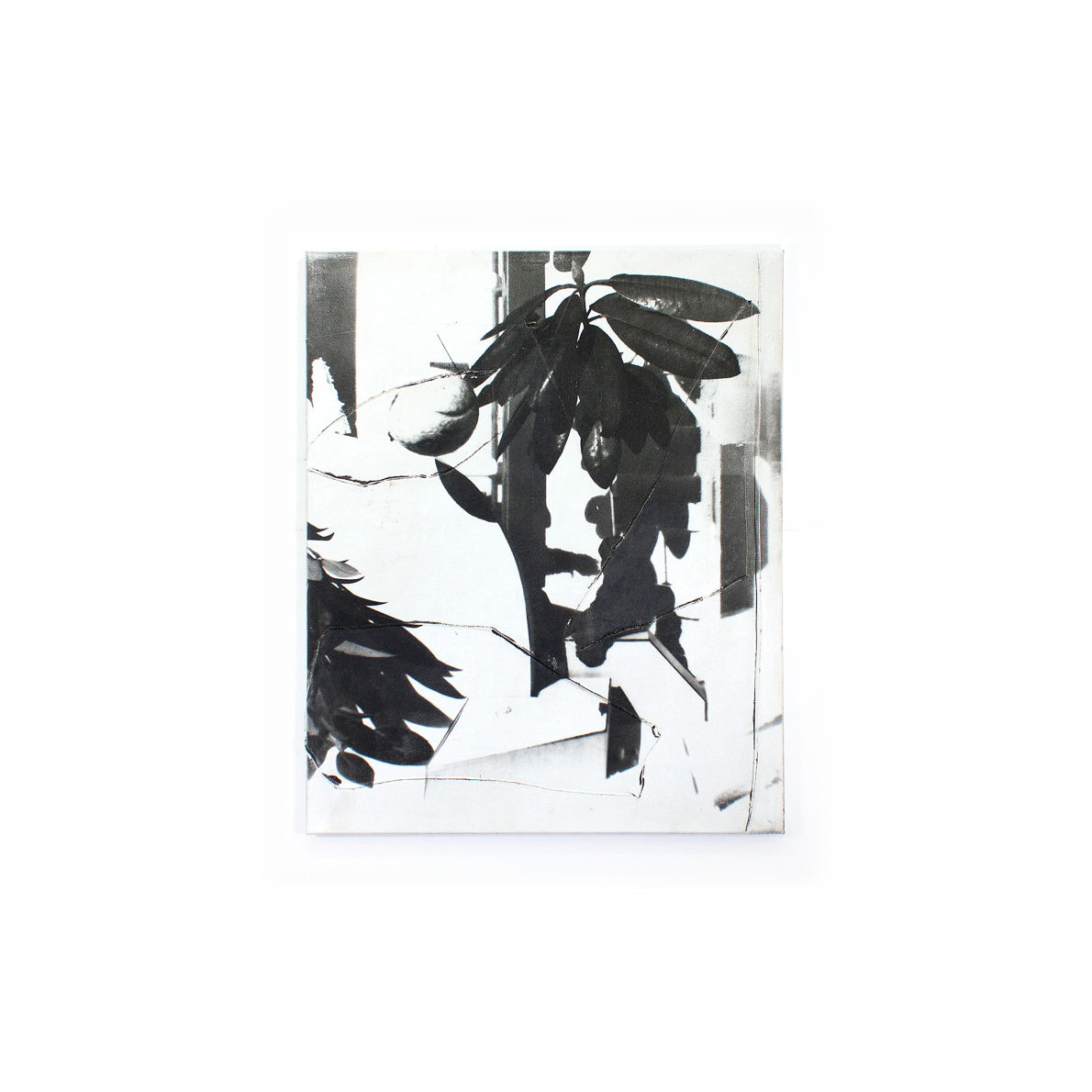 Selected Works - Janosch Jauch - Phases Magazine
