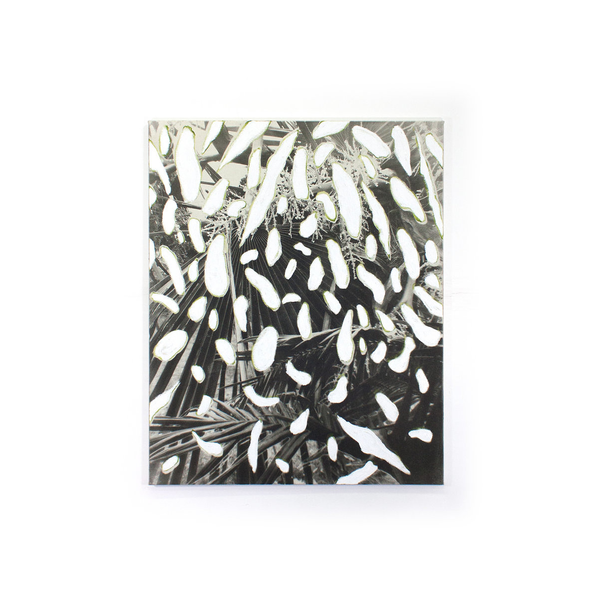 Selected Works - Janosch Jauch - Phases Magazine